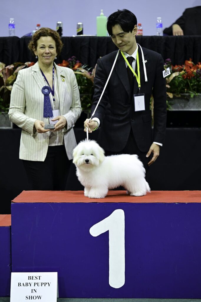 Best Baby Puppy in Show — ประเทศฟิลิปปินส์