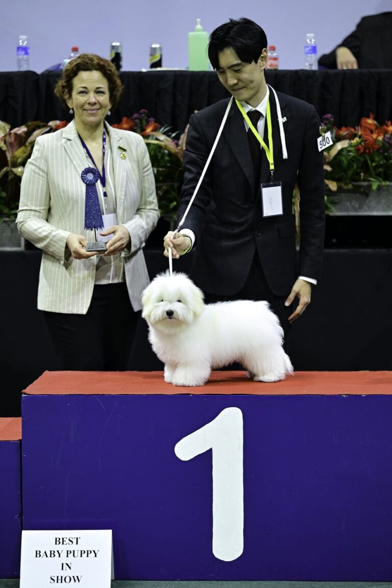 Best Baby Puppy in Show — ประเทศฟิลิปปินส์