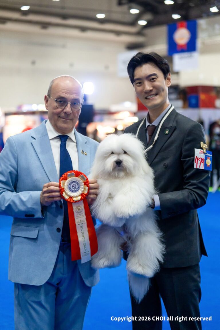 Best Puppy in Group — สนามในประเทศไทย